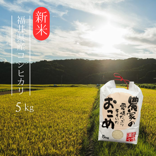 ≪新米≫ 100袋限定 令和7年産 福井県産コシヒカリ5kg