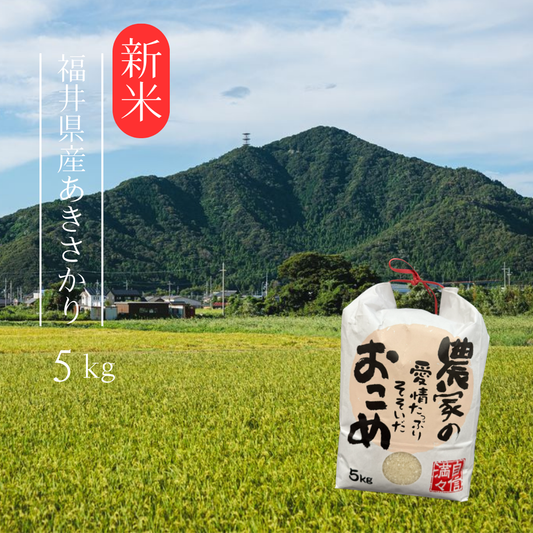 ≪新米≫ 100袋限定 令和7年産 福井県産あきさかり5kg