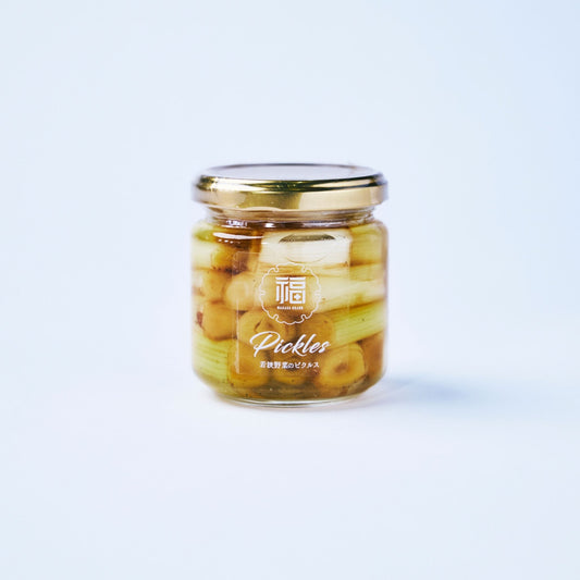 若狭野菜のピクルス　白ネギ