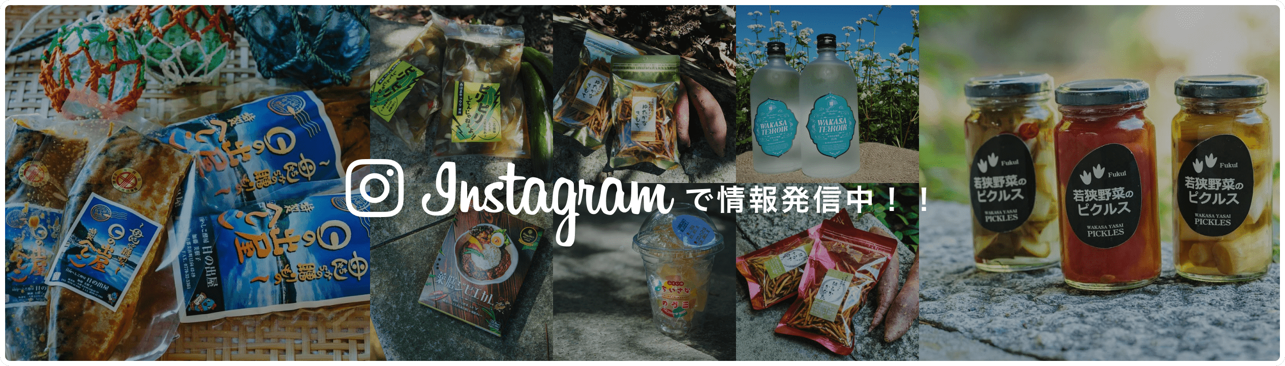 Instagramで情報発信中