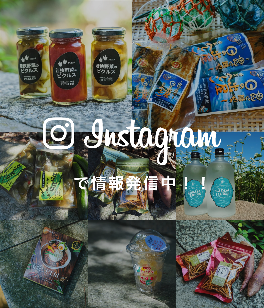 Instagramで情報発信中